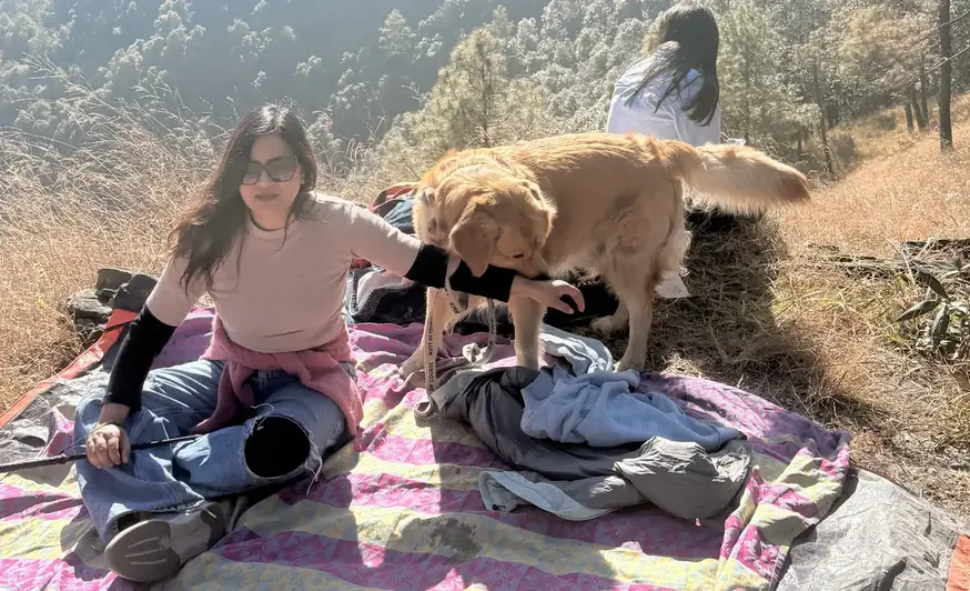 Tips for traveling with your pet