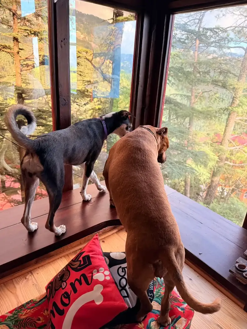 See the benefits of investing in a villa